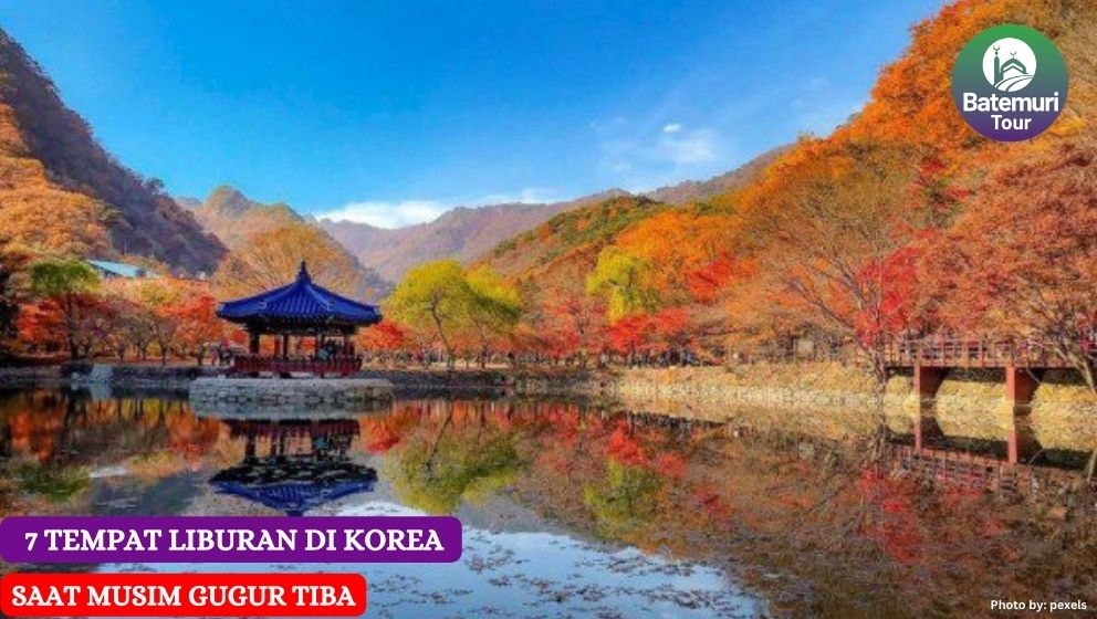 7 Tempat Liburan di Korea, Saat Musim Gugur Tiba